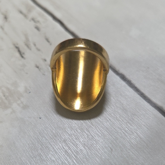 Plunder Gold and Black Ornate Ring - Picture 5 of 6